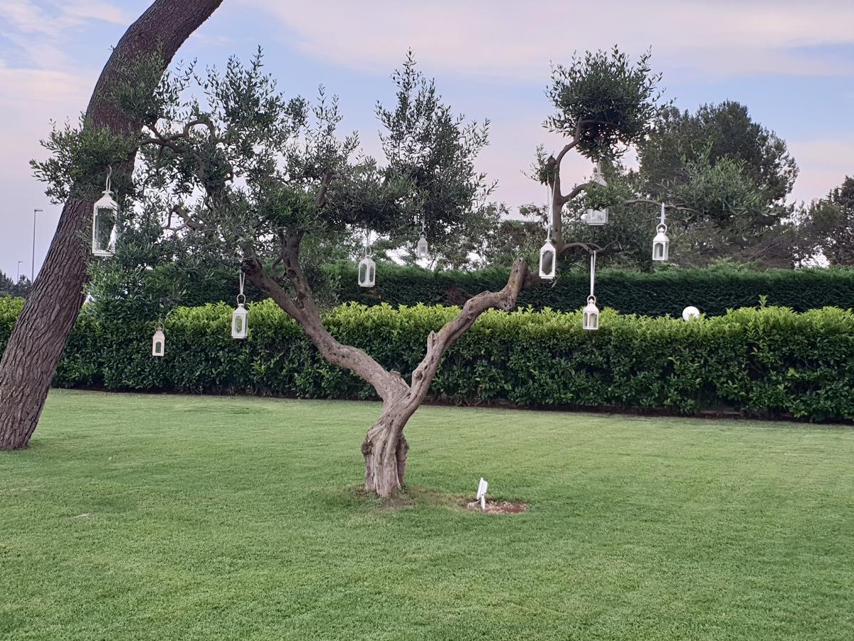 Villa Natia 莫托拉 外观 照片