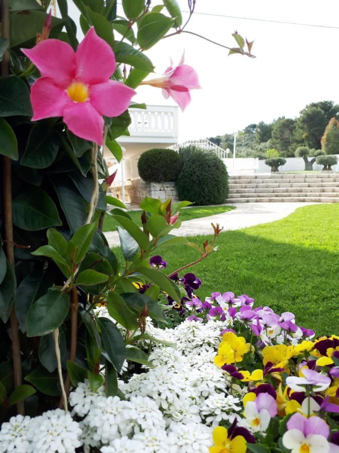 Villa Natia 莫托拉 外观 照片